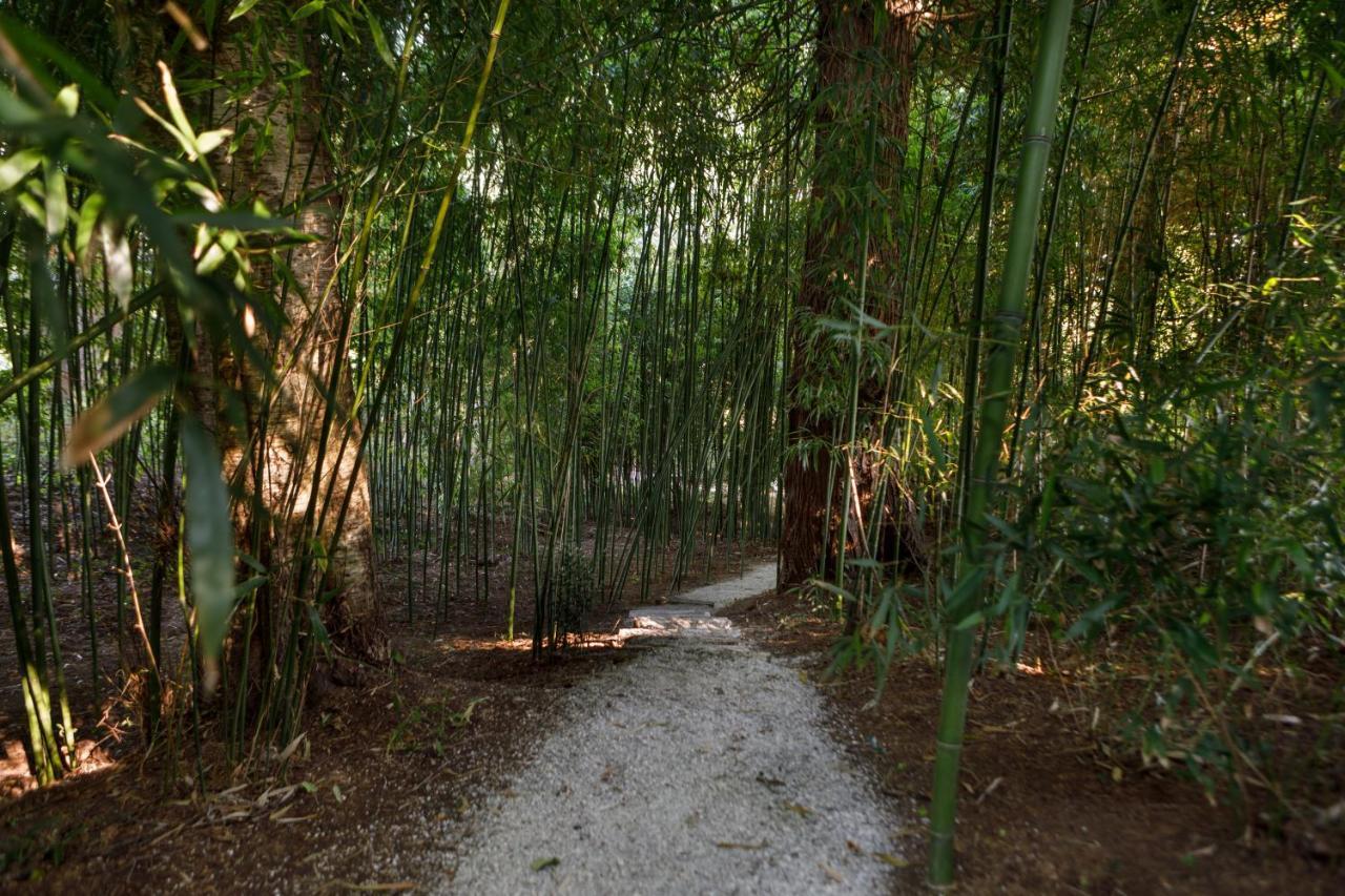 Finca La Peniga Mazcuerras Ngoại thất bức ảnh